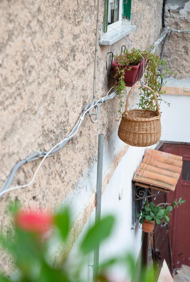 La Maison A La Cathedral パレルモ エクステリア 写真